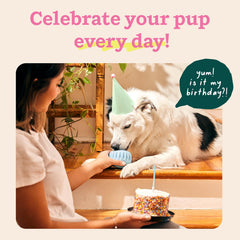 WOOF Party Pupsicle, perro jugando con juguete interactivo de larga duración.