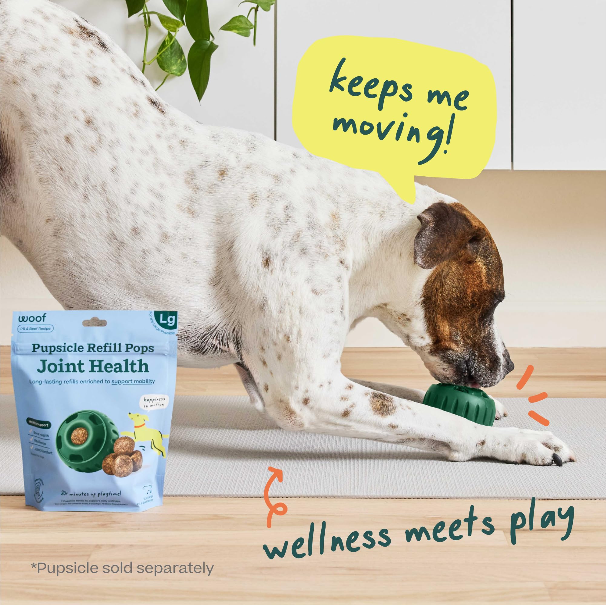 Woof Pupsicle ideal para razas grandes y todas las etapas de vida