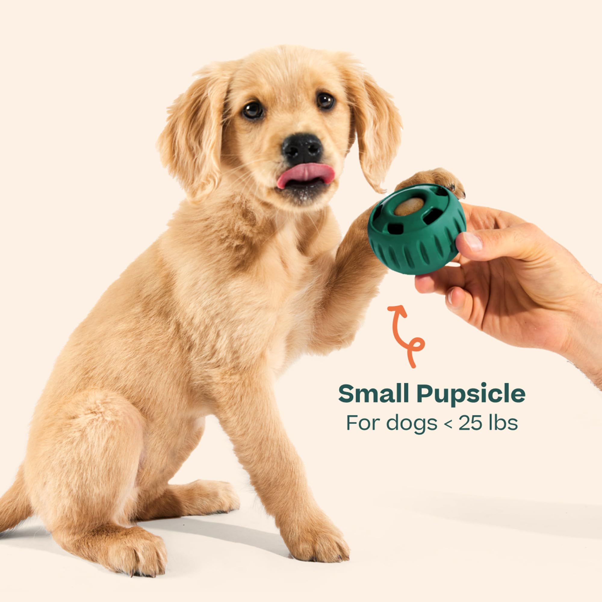 WOOF Pupsicle, juego-largo para perros pequeños de 10 a 25 libras