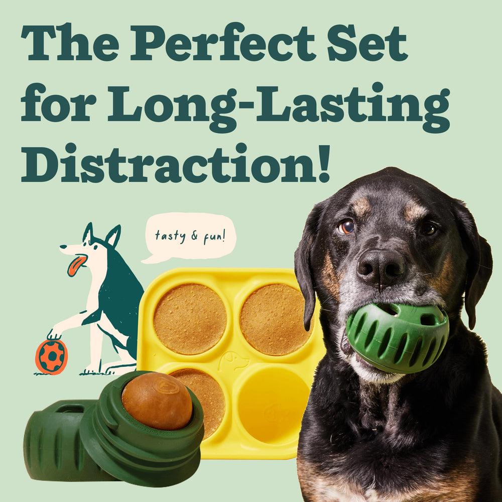 WOOF Pupsicle, juguete interactivo para perros que estimula la mente y el tiempo de juego.