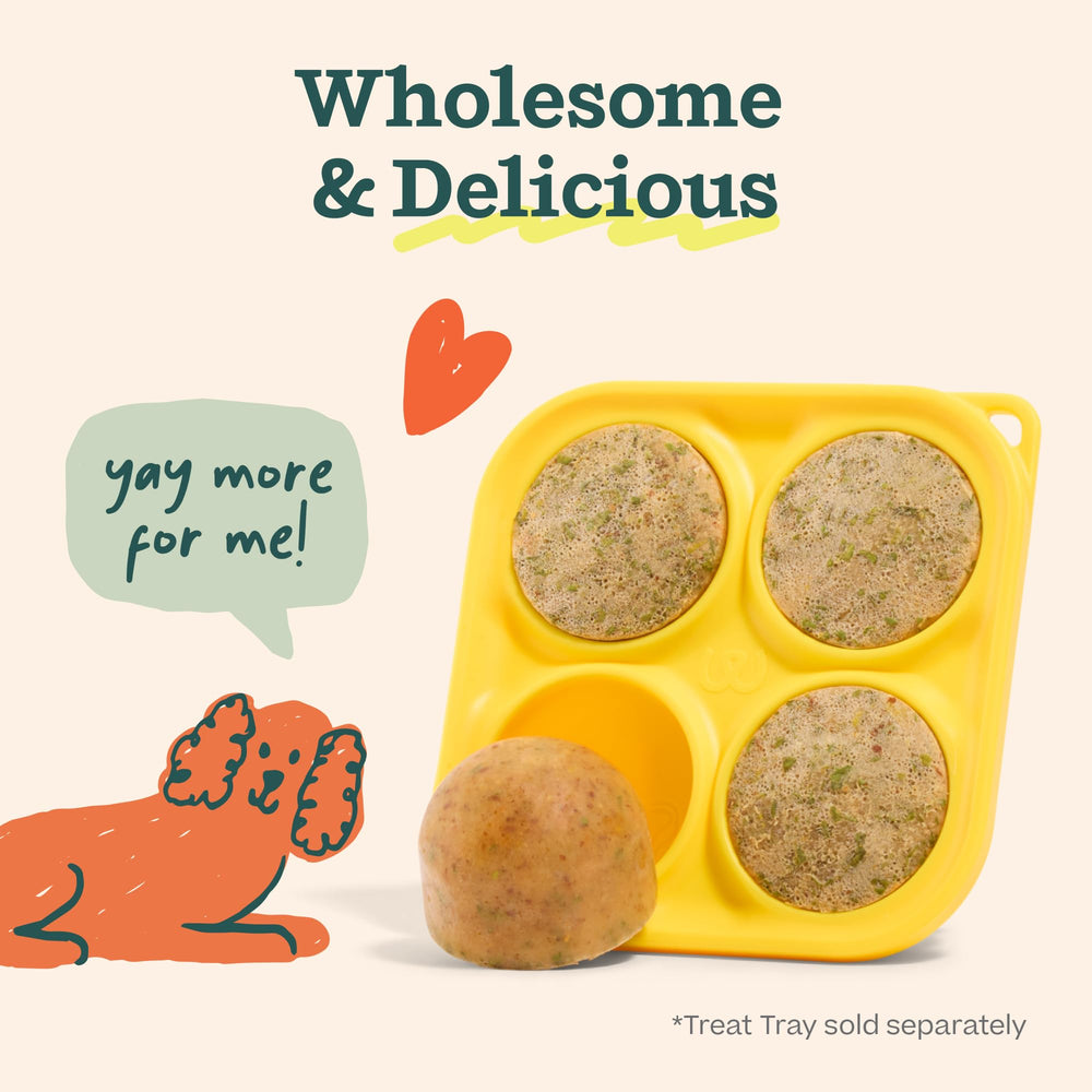Perro disfruta Pupsicle Mix de WOOF como snack sabroso.