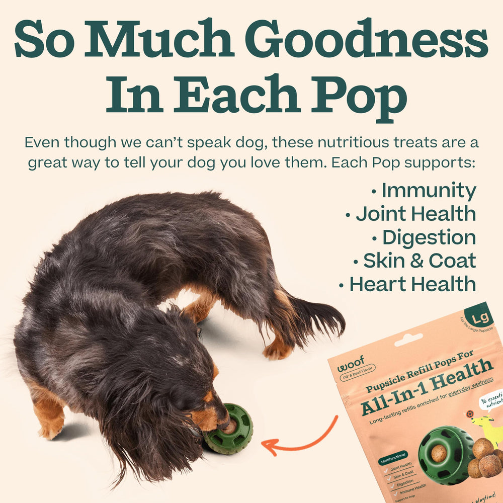 WOOF Pupsicle perro en aventura disfrutando snack saludable