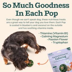 WOOF Pupsicle pop para aventuras en movimiento.