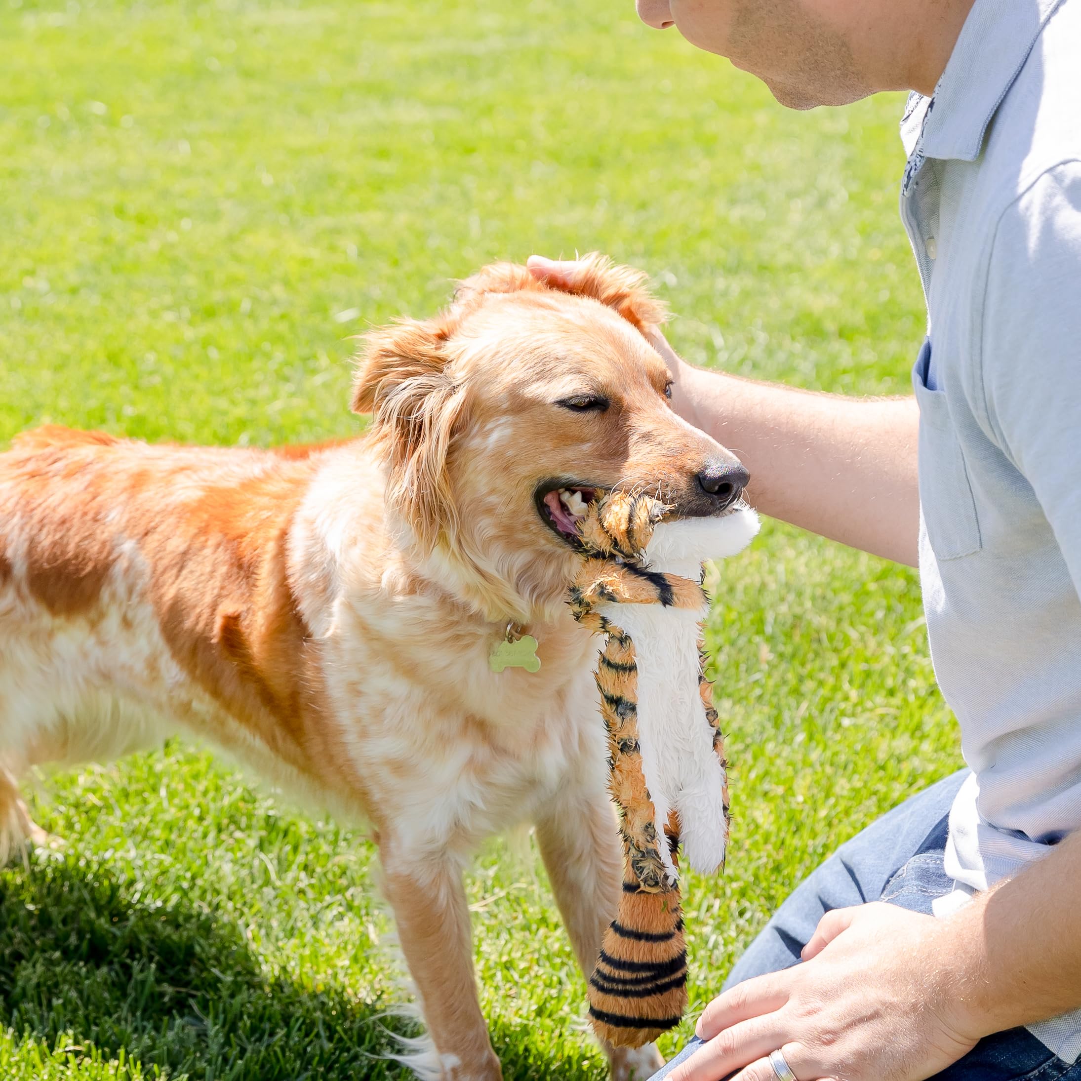 Juguete Woof Wonders sin relleno Tejido de doble capa, mayor durabilidad.