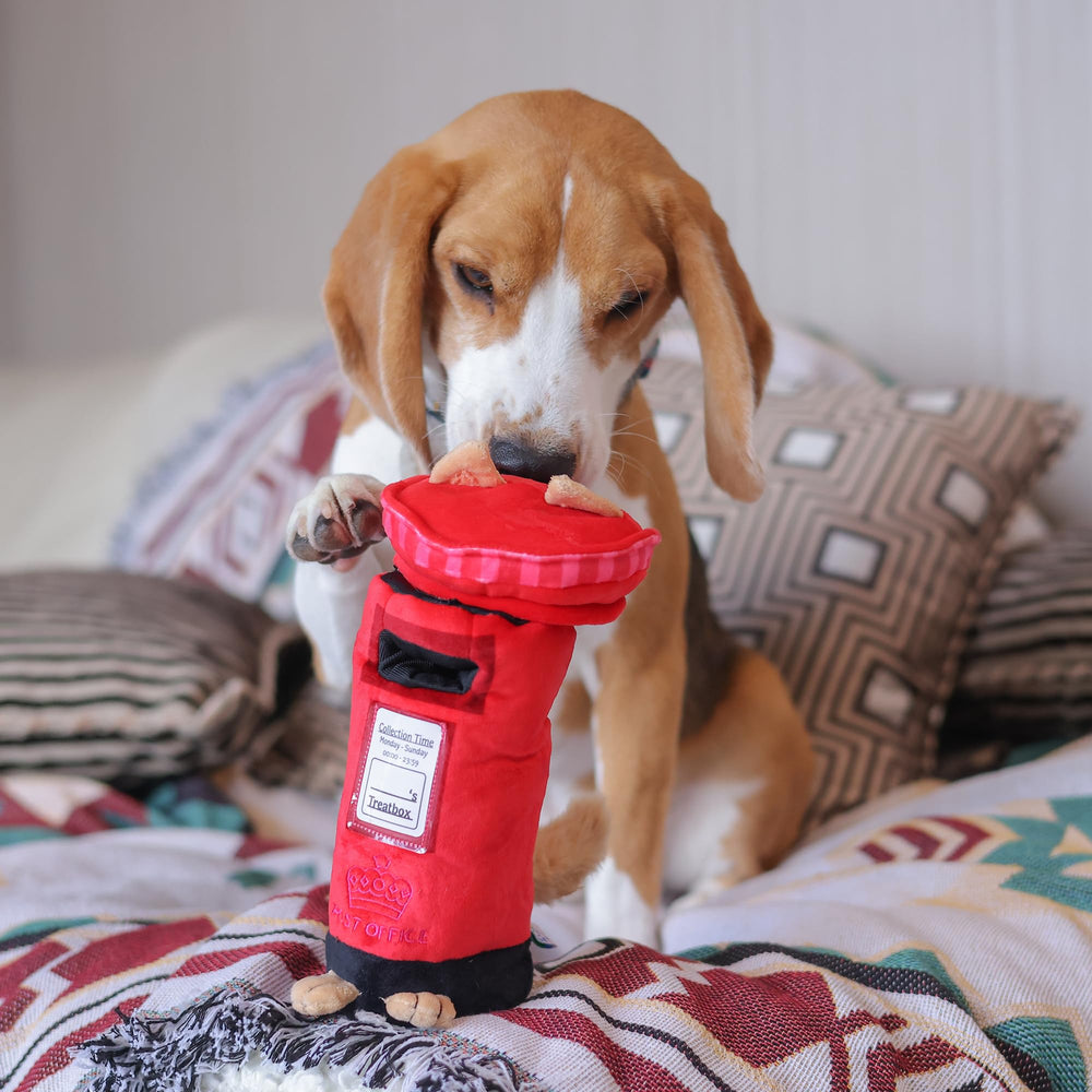 Woof² diseño para perros pequeños y medianos durante juego interactivo.