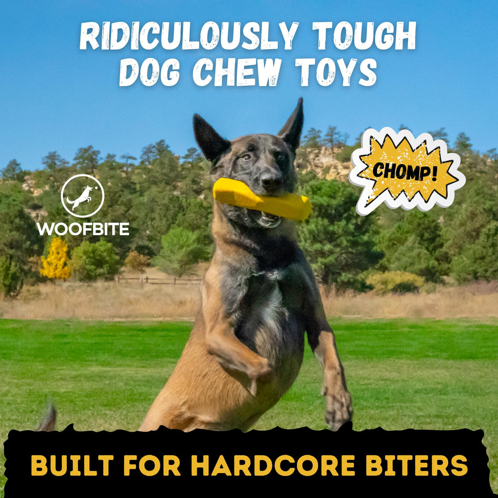 WoofBite: caucho natural seguro para masticación de perros grandes