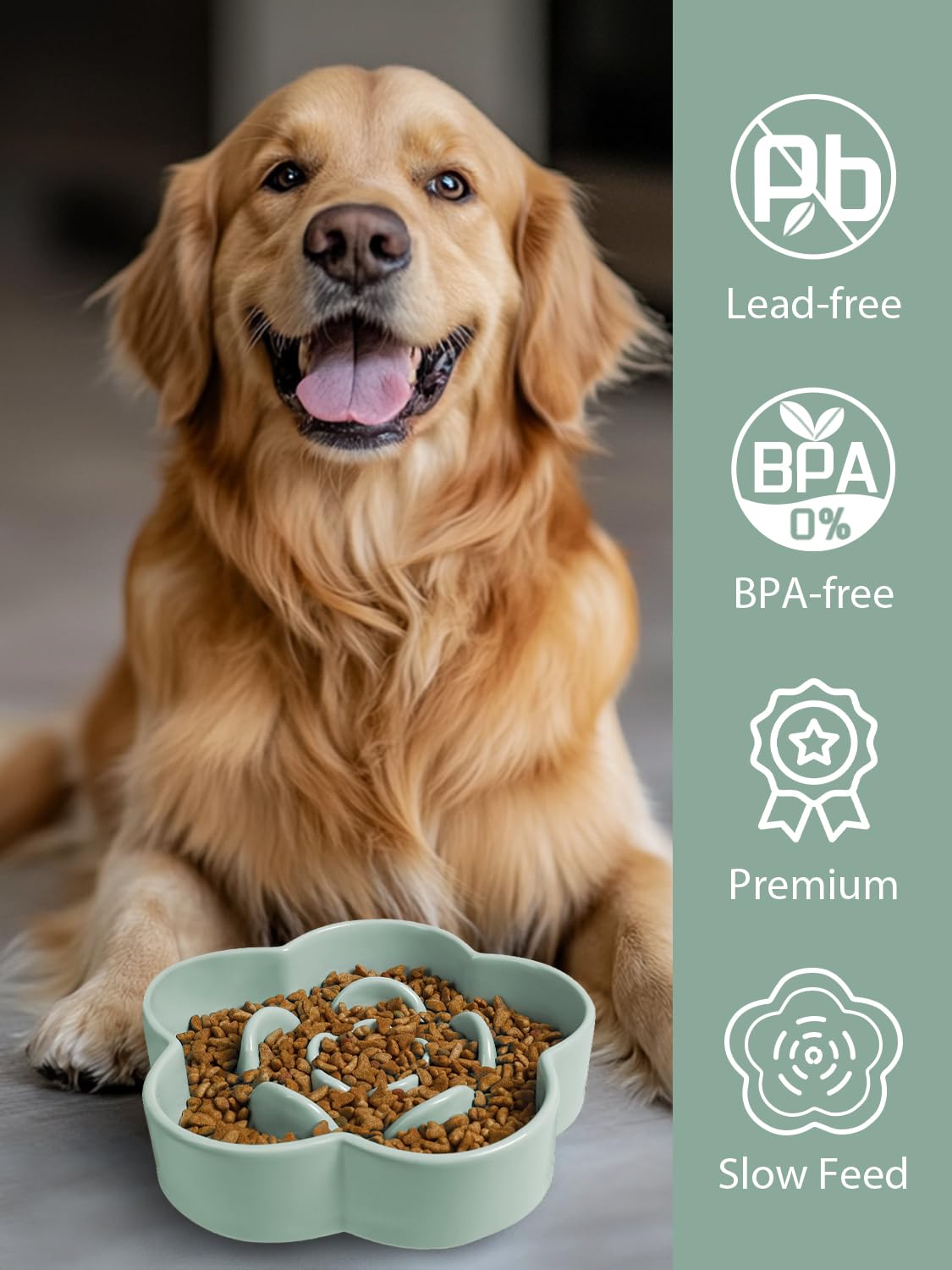 WoofinPets tazón cerámico grande capacidad ocho pulgadas, ideal para razas medianas y grandes.