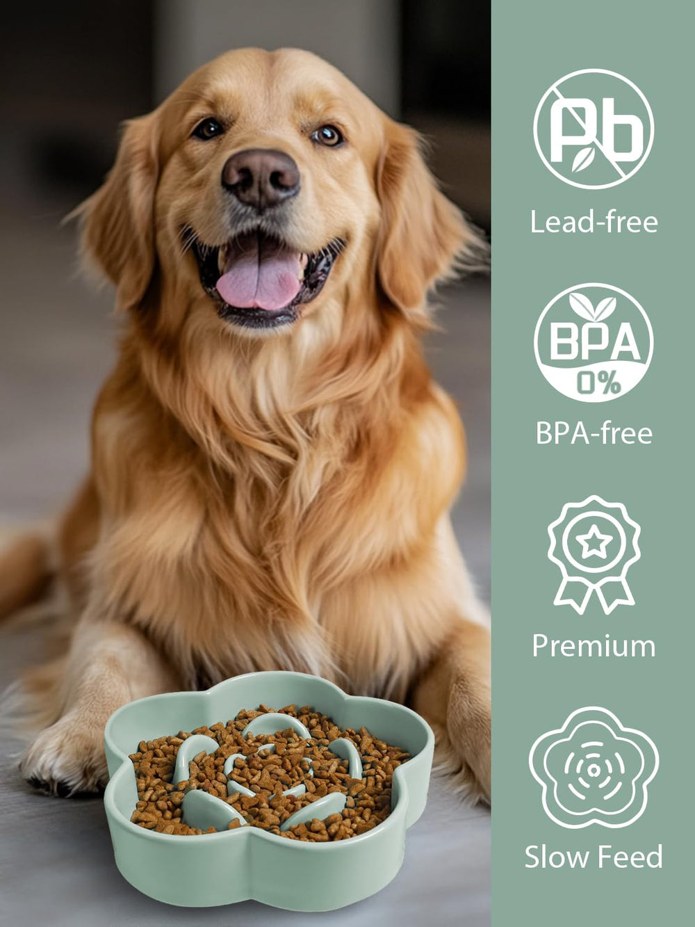 WoofinPets tazón cerámico grande capacidad ocho pulgadas, ideal para razas medianas y grandes.