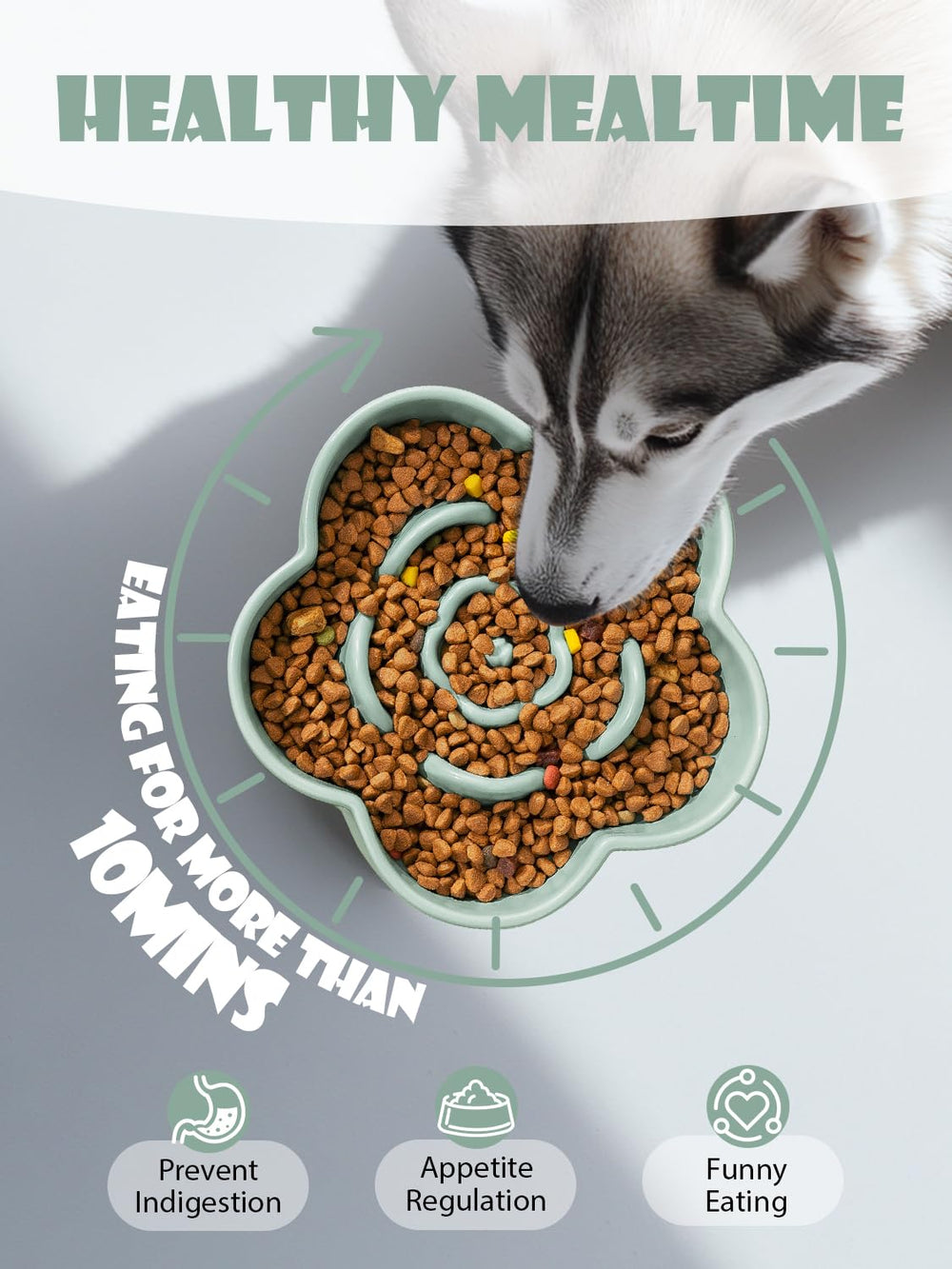 WoofinPets tazón cerámico para diferentes alimentos, apto para seco, húmedo, latas y premios.