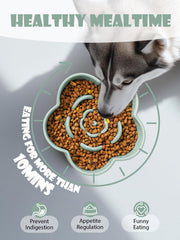 WoofinPets tazón cerámico para diferentes alimentos, apto para seco, húmedo, latas y premios.