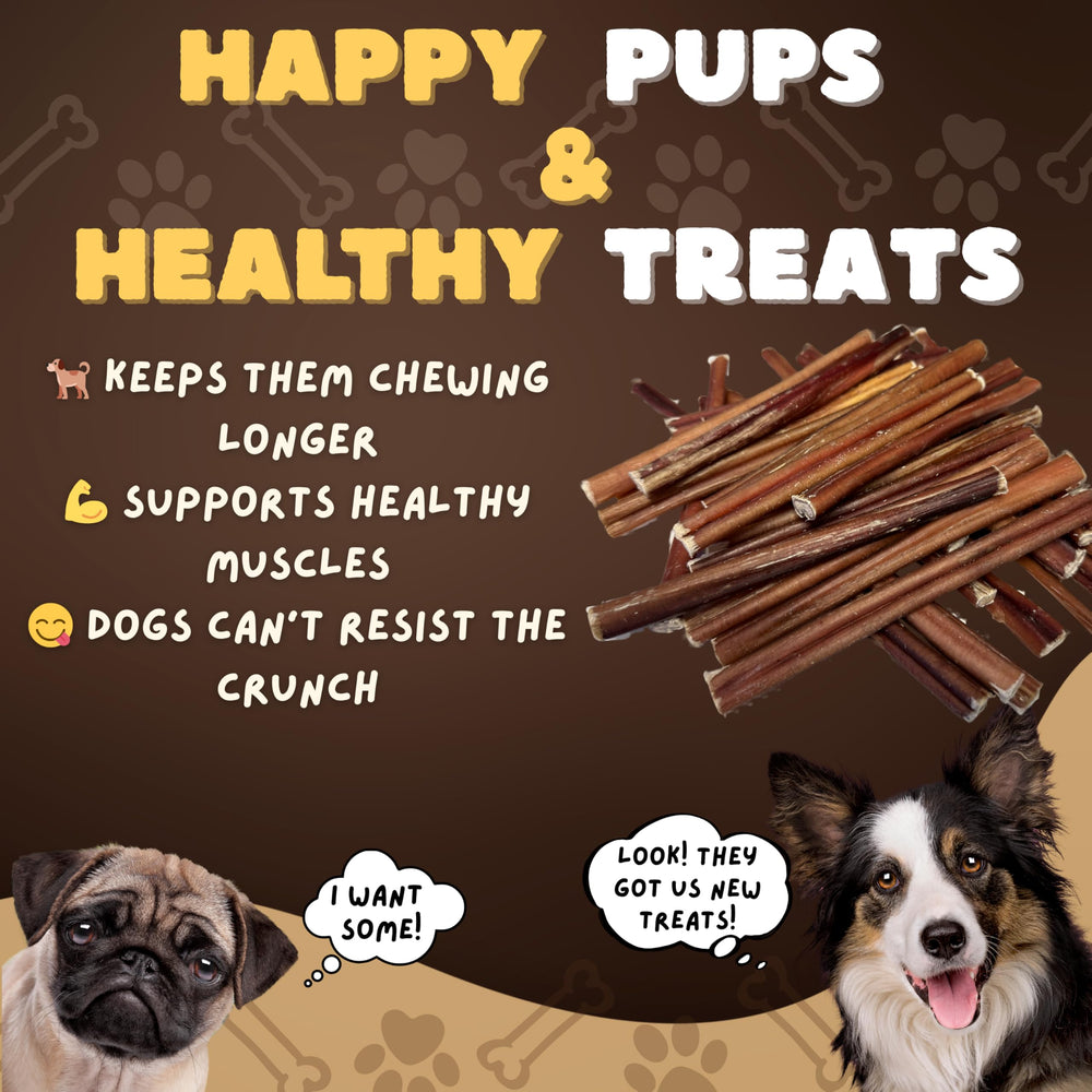 Ingrediente único: res de Woofley's Bully Sticks de 6 pulgadas