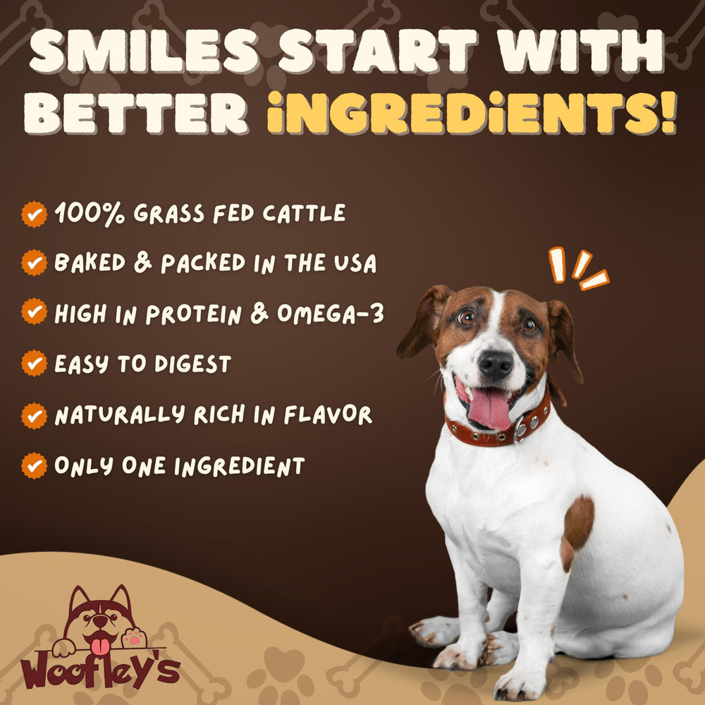Woofley's palitos de colágeno 6 pulgadas, ideal para sostener hábitos de masticación saludable.