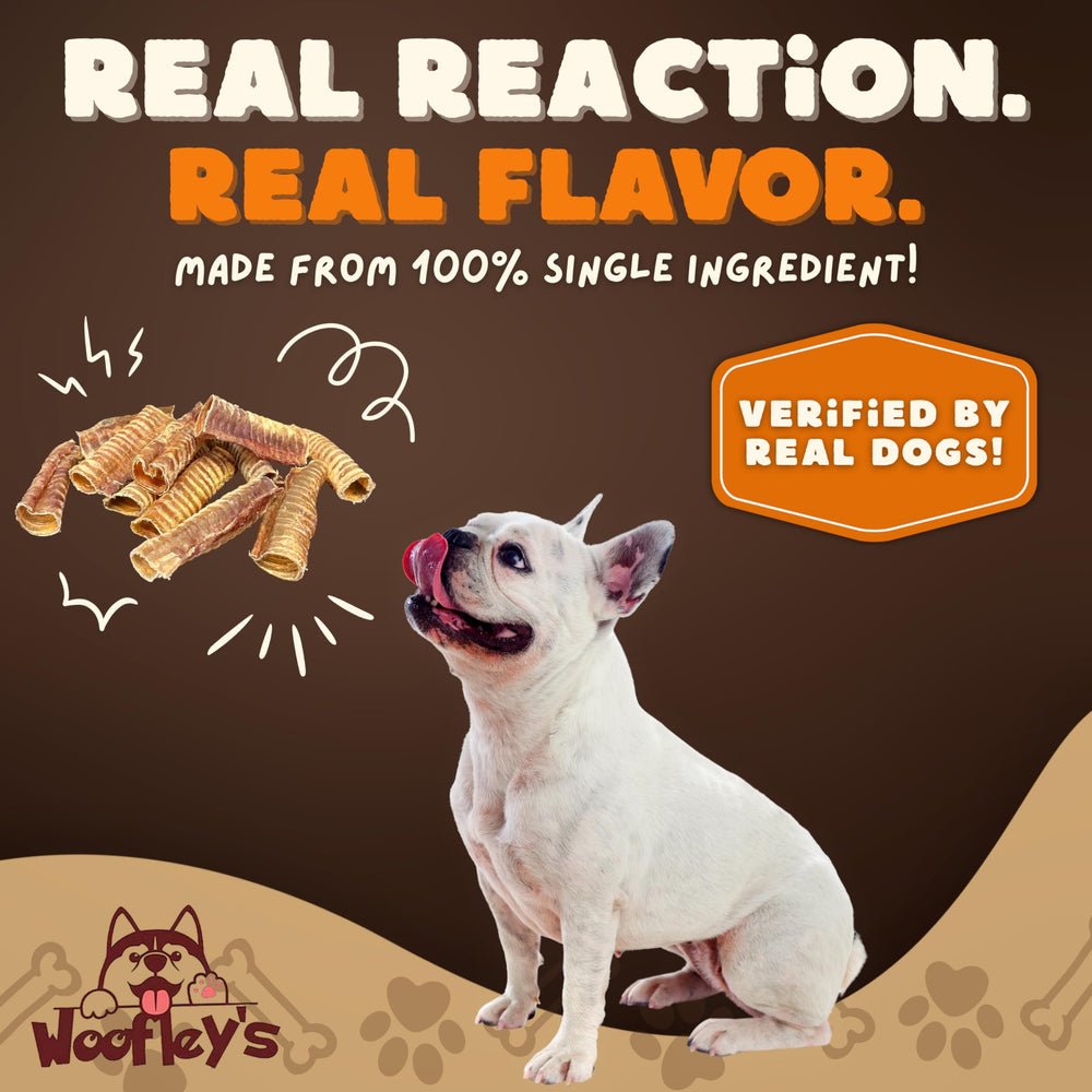 Woofley's tráquea de res apoya articulaciones y movilidad suave.