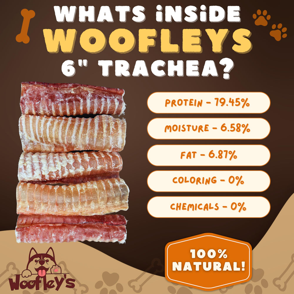 Woofley's tráquea de res ayuda a la limpieza dental durante el juego.