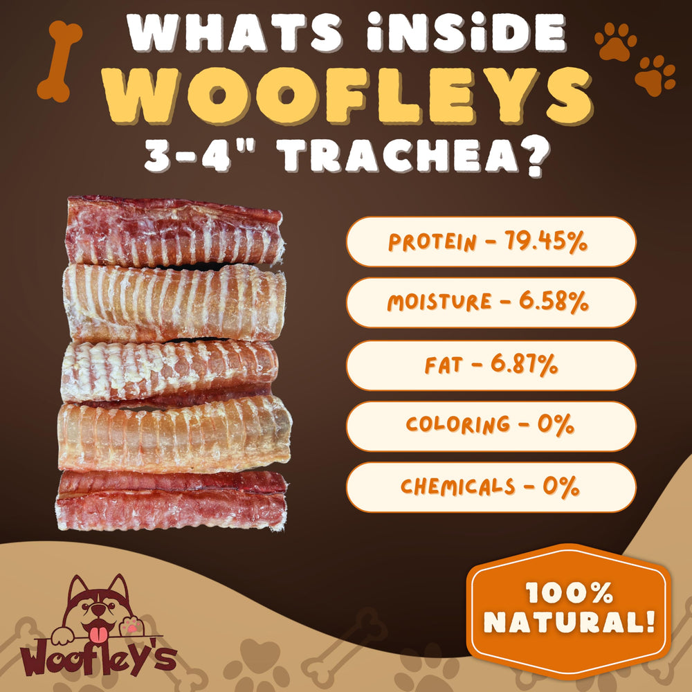 Woofley's Tráquea de res – primer plano, digestibilidad fácil.