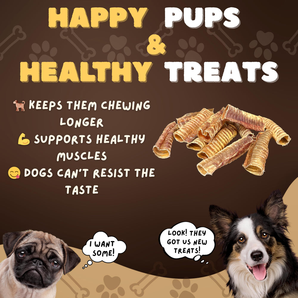 Woofley's Tráquea de res – origen natural de ganado criado en pastos.