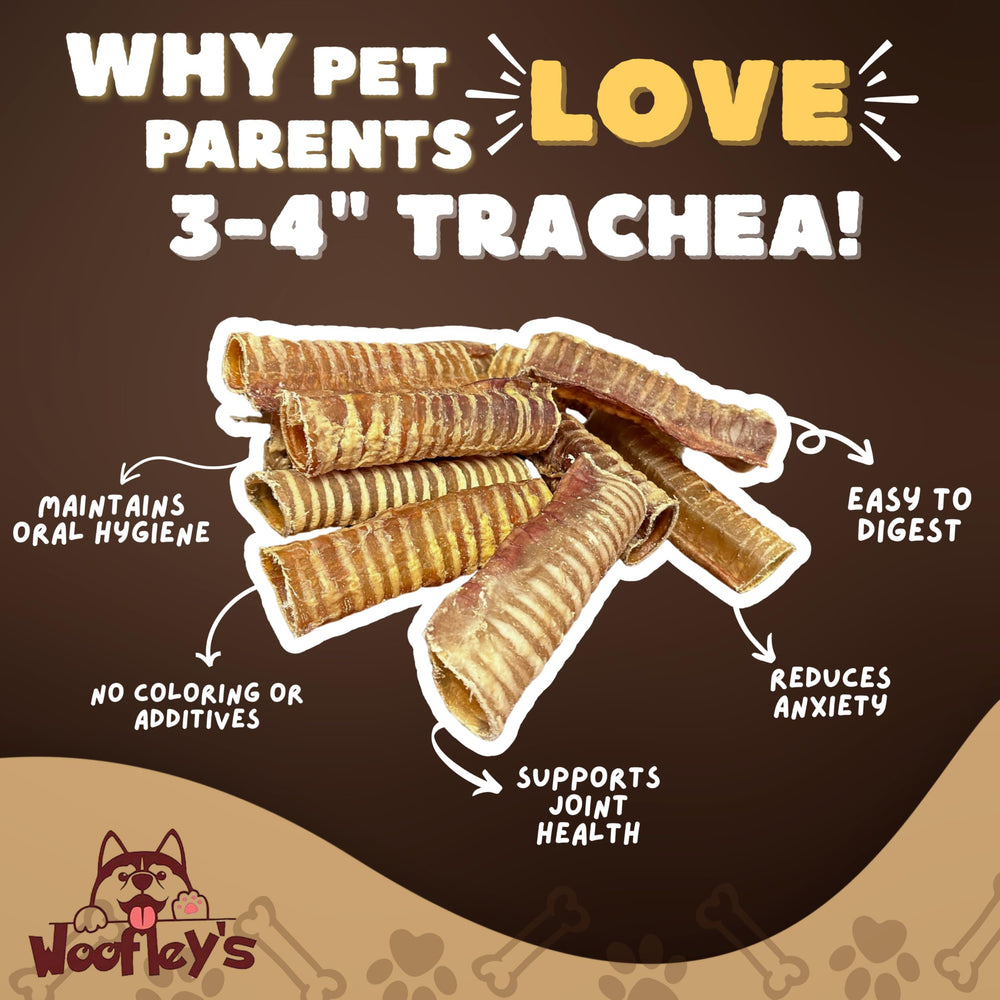 Woofley's Tráquea de res – perro masticando, opción natural para recompensas.