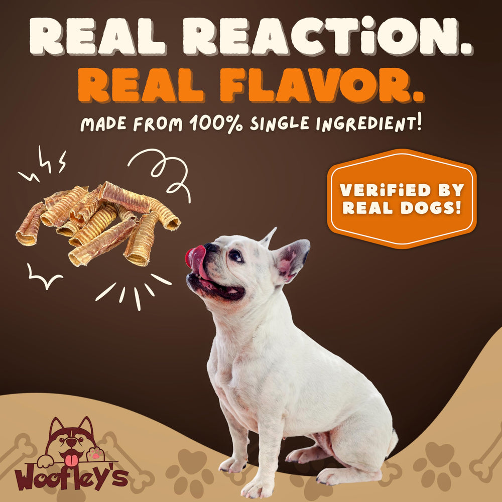 Woofley's Tráquea de res – uso dental natural.