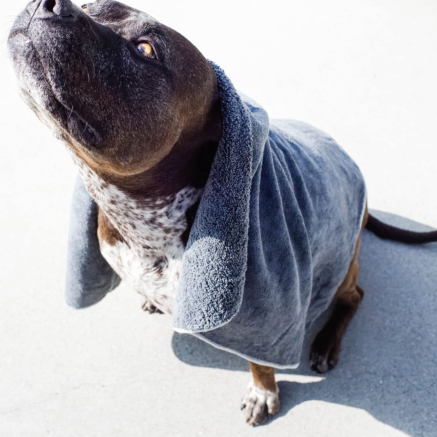 toalla wooflinen para mascotas, lavable a máquina y duradera
