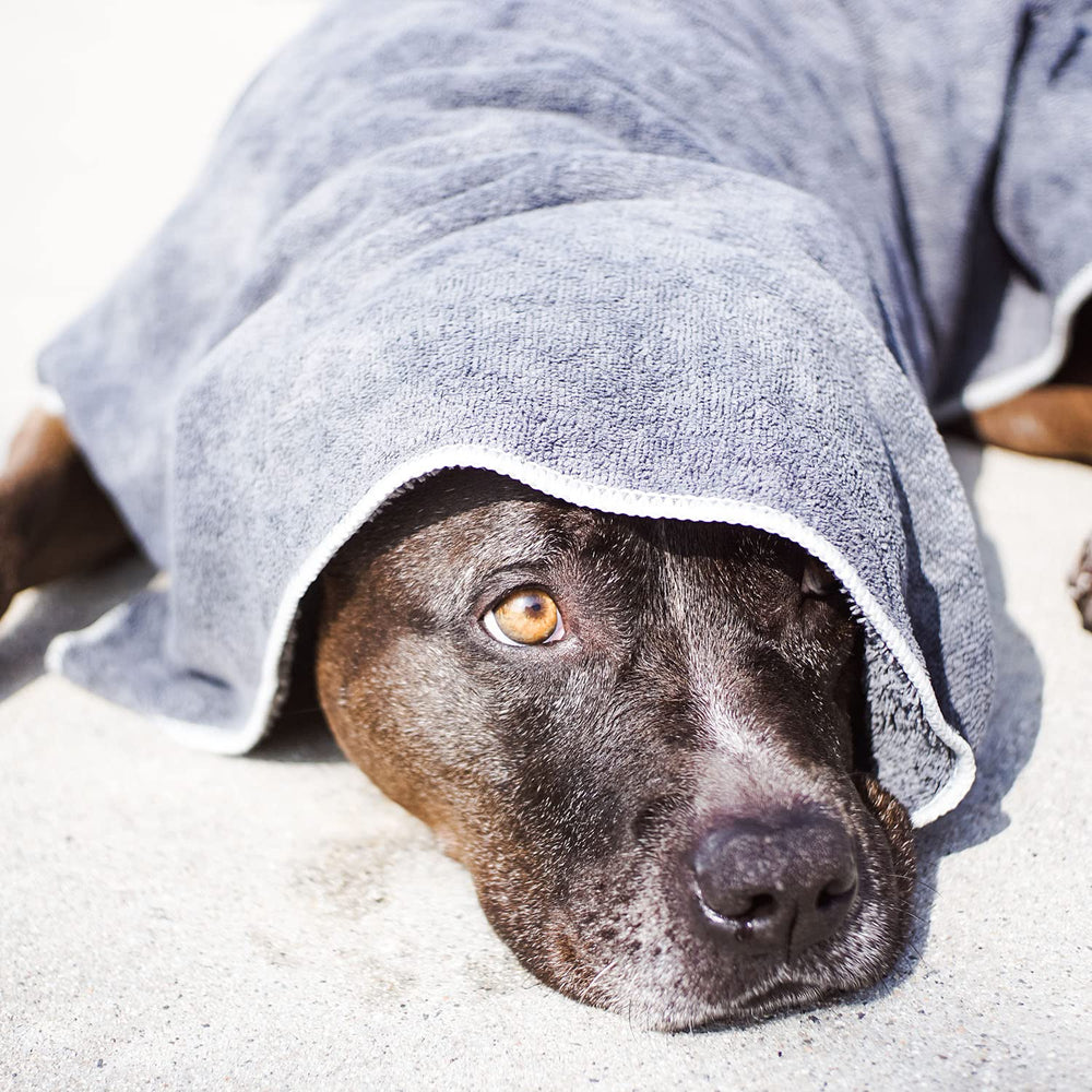toalla wooflinen para perros y gatos, secado rápido y absorbente