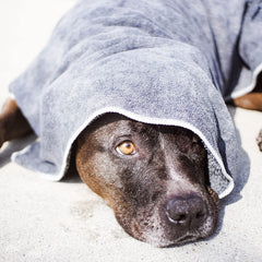 toalla wooflinen para perros y gatos, secado rápido y absorbente