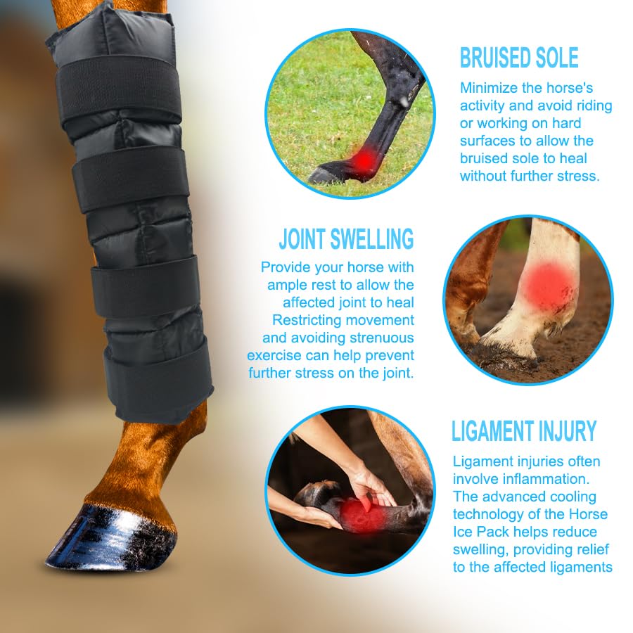 WORLD-BIO correas de fijacion de las botas de hielo para caballos en acción