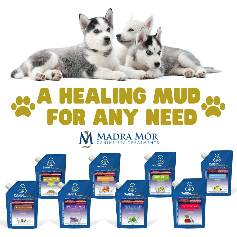 Worldwide Nutrition Madra Mor aroma fresco, experiencia de baño agradable para el perro