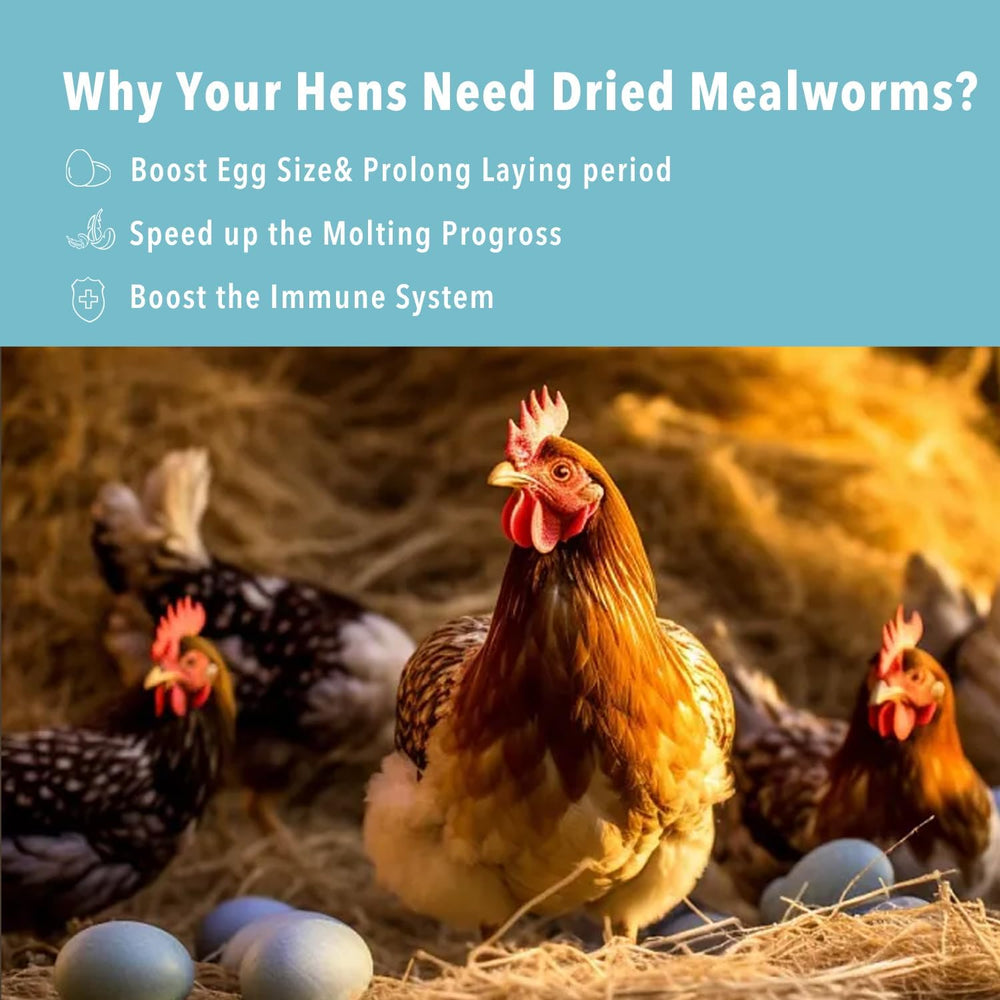 Gusanos de harina WormsFarm para aves silvestres, ideal para atraer aves.