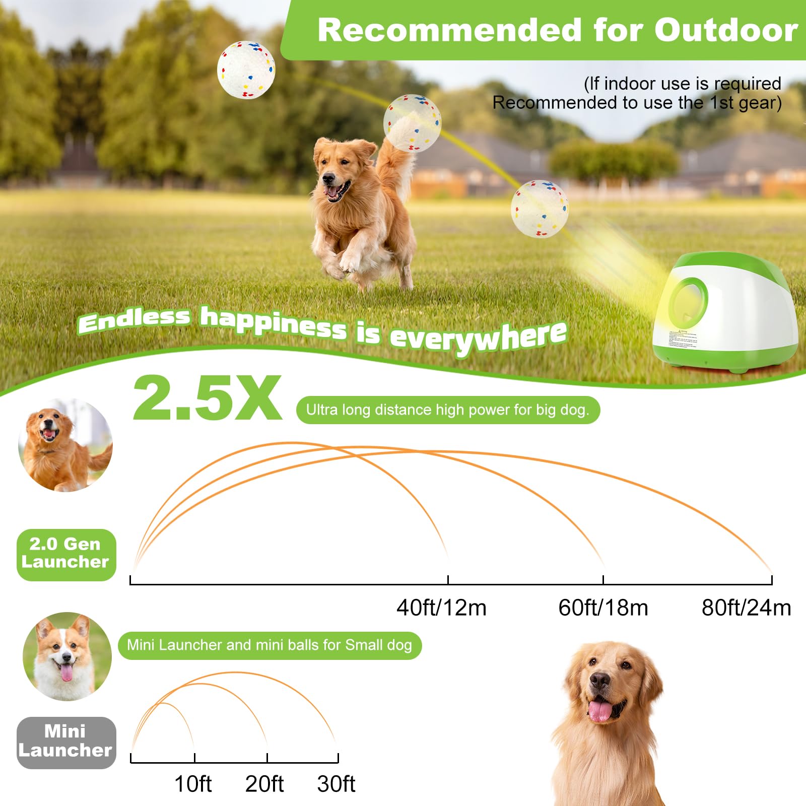 Sesión de juego al aire libre con Wortade para perros activos.
