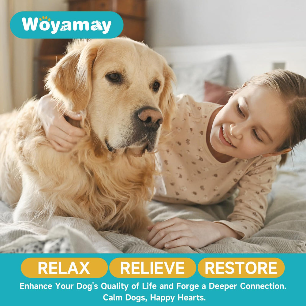 Ambiente relajante para perros en casa, ayuda a dormir mejor