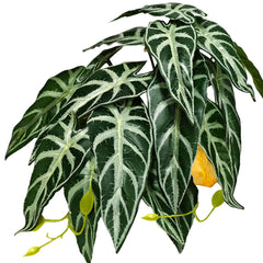 Woyrise Alocasia Negro Terciopelo para terrario, refugio y aspecto natural.