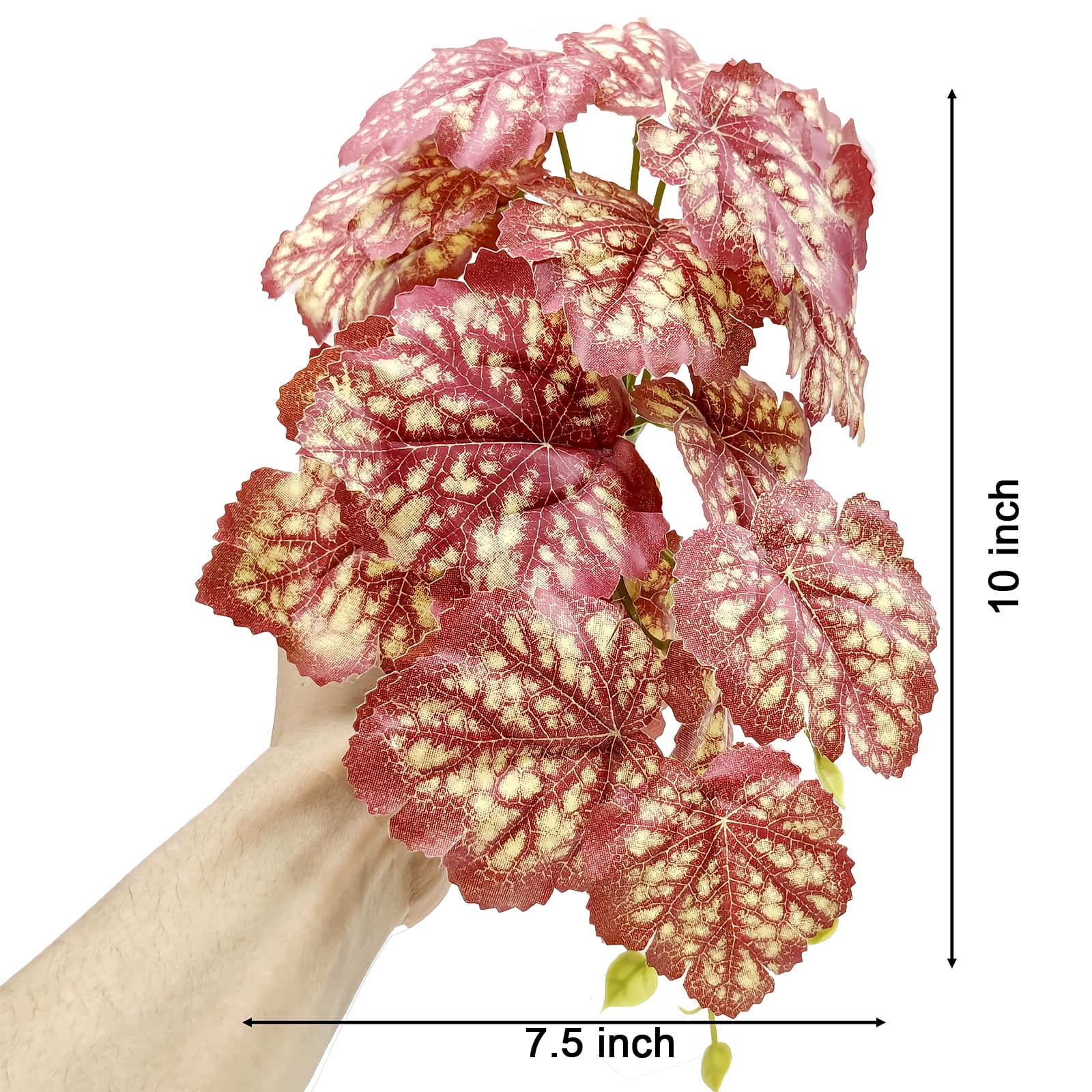 Woyrise Heuchera rosa, decoración para terrario con estilo natural