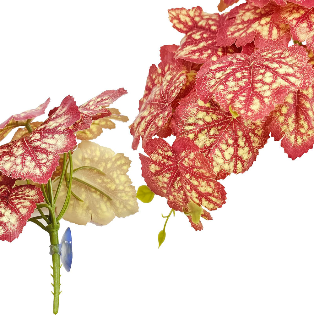 Woyrise Heuchera rosa, ramas dobles para diseño dinámico