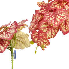 Woyrise Heuchera rosa, ramas dobles para diseño dinámico