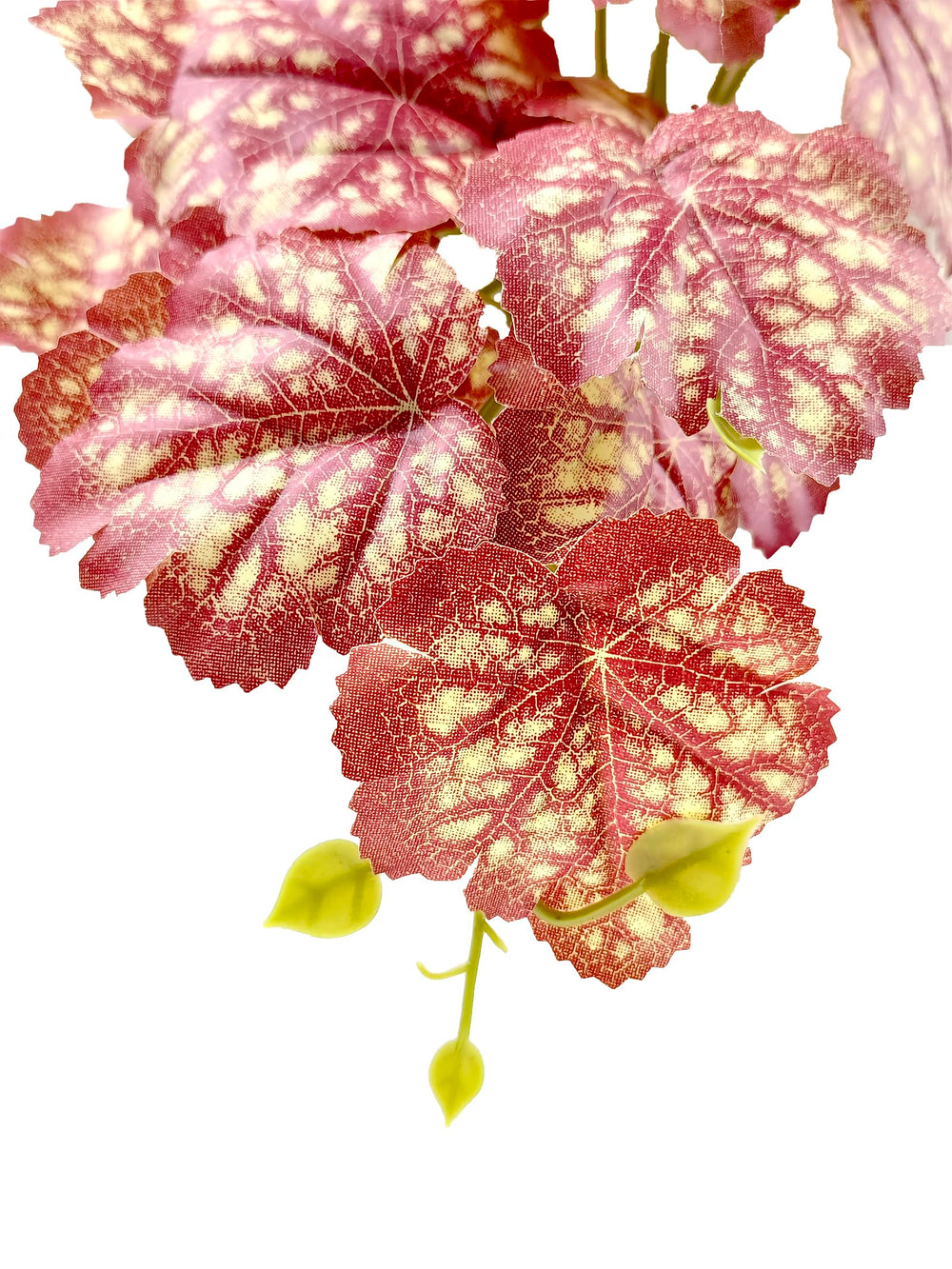 Woyrise Heuchera rosa, ramas flexibles para estructuras tridimensionales