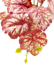 Woyrise Heuchera rosa, ramas flexibles para estructuras tridimensionales