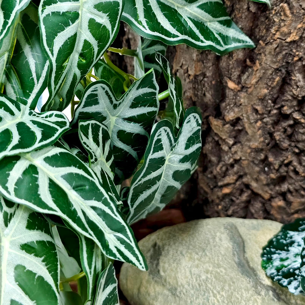 Perfecta para reptiles y anfibios, añade texturas y escondites seguros.