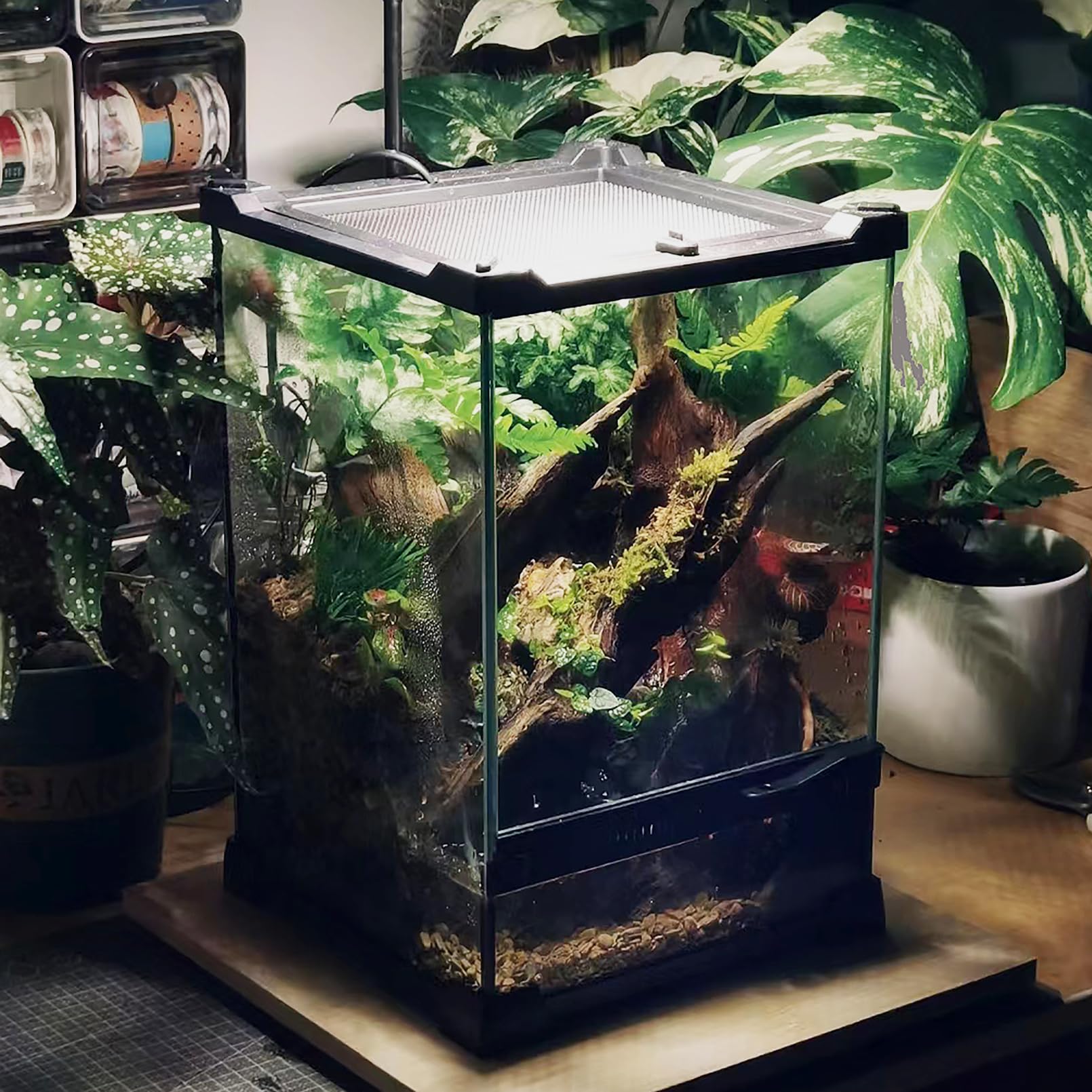 Base elevada de Woyrise para colocar un calefactor y controlar temperatura.