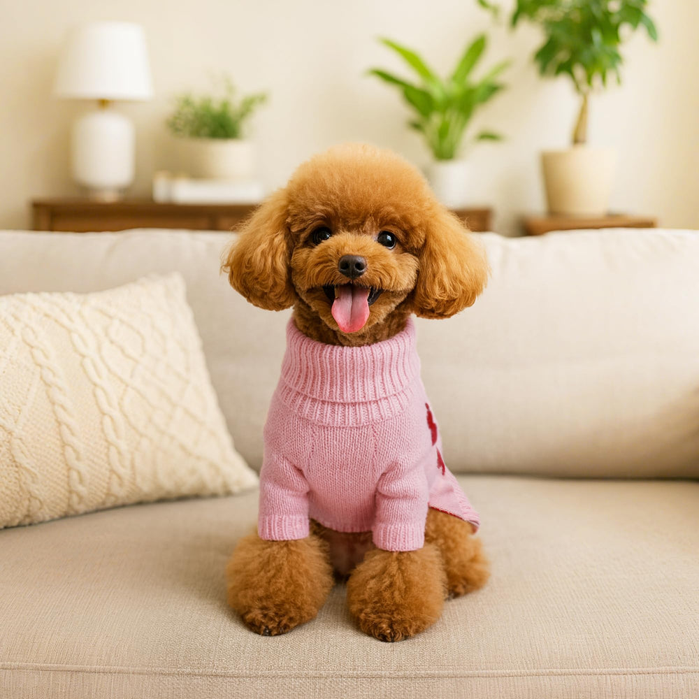 WOYYHO sudadera-perro ideal para fotos y paseos diarios