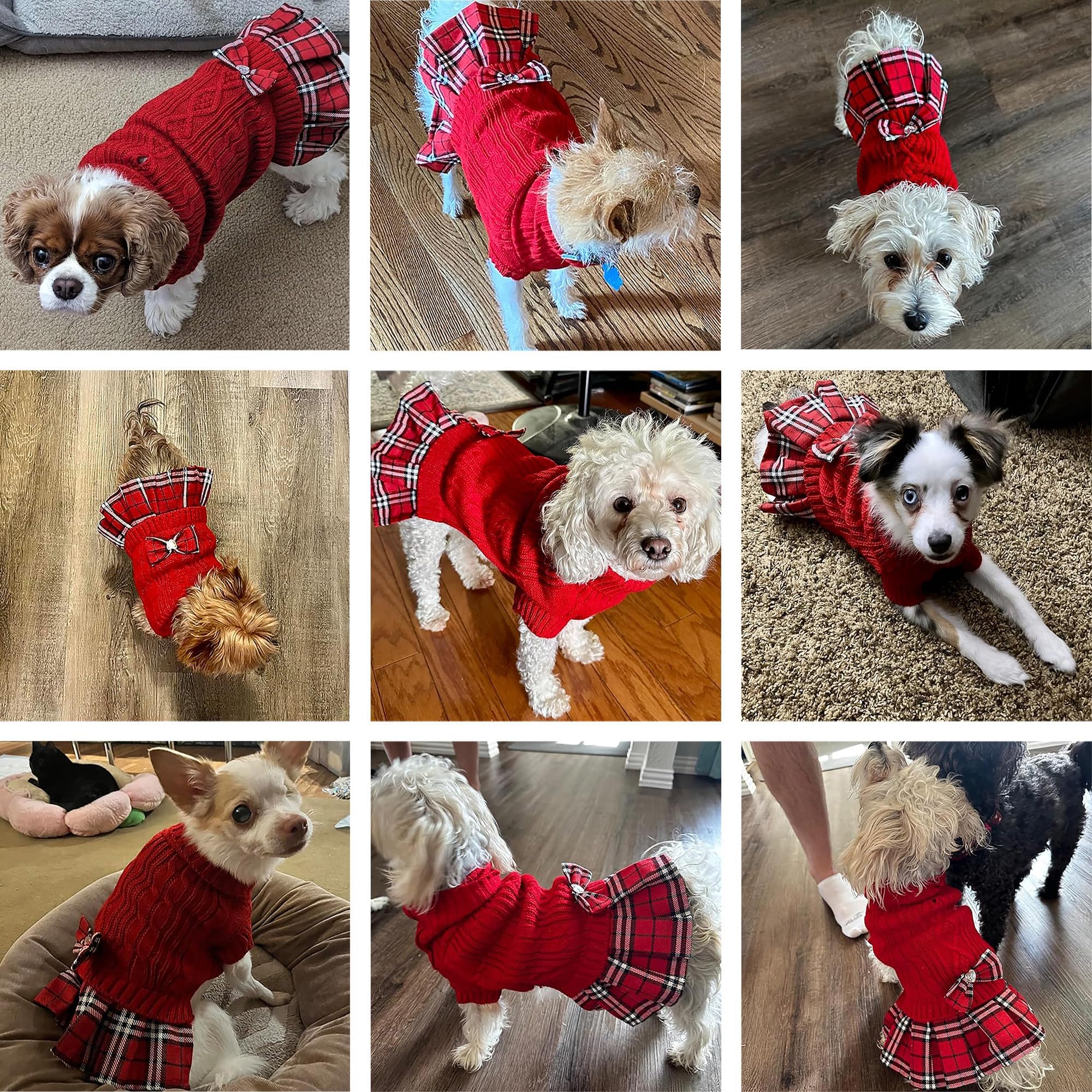 WOYYHO sudadera para perro pequeño, look ideal para fotos.