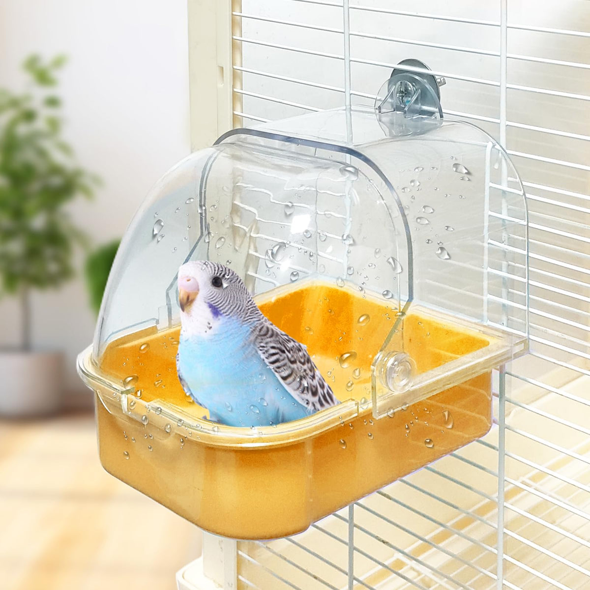 WQY GroceryShop baño para jaula de aves, ideal para uso diario.