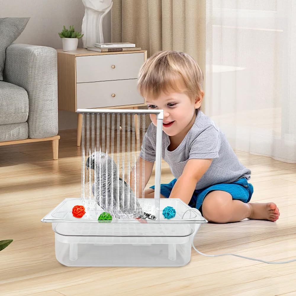 Reducir estrés del loro con baño y juguetes interactivos