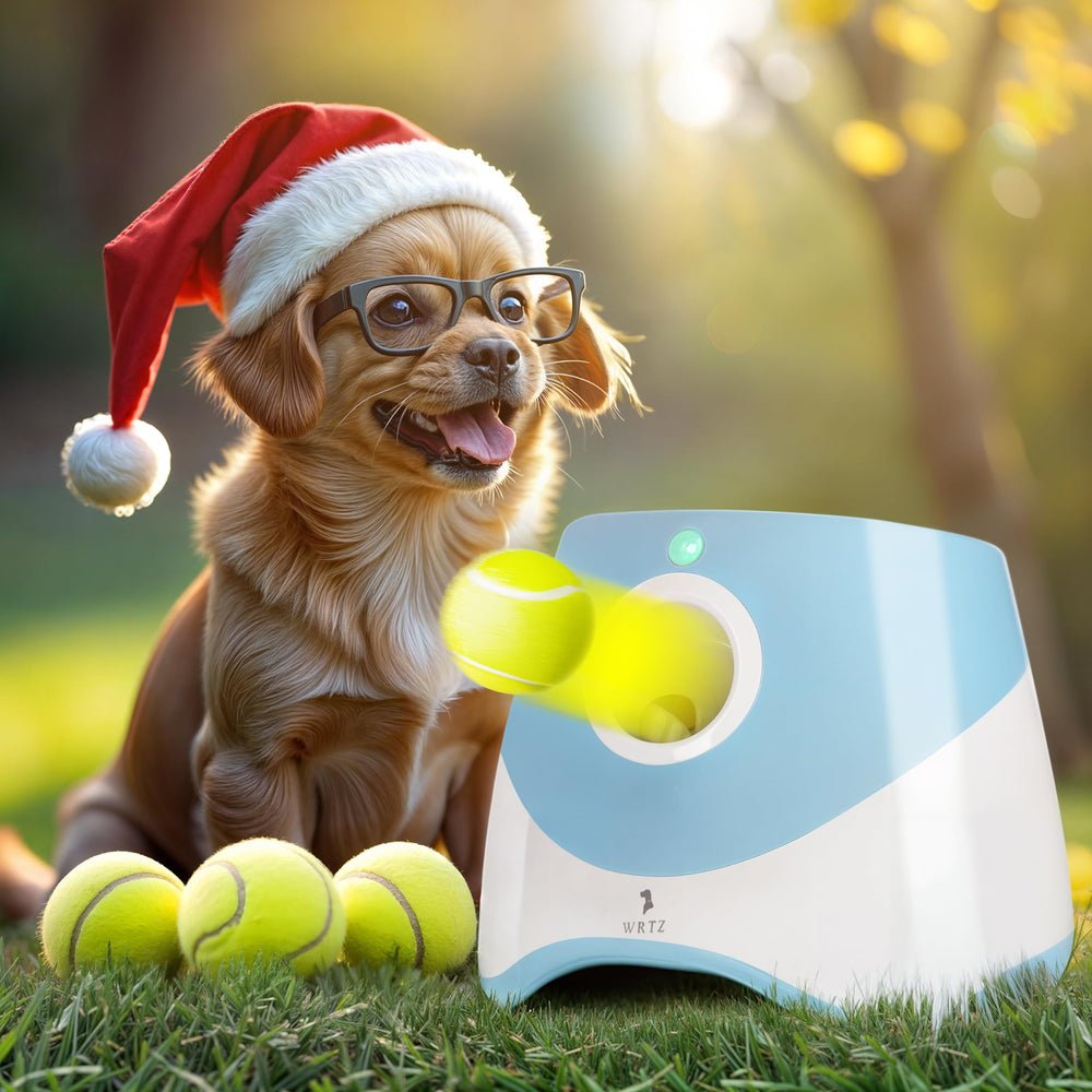 Lanzador WRTZ para perros pequeños, juego activo e interactivo.