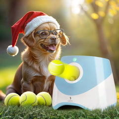 Lanzador WRTZ para perros pequeños, juego activo e interactivo.