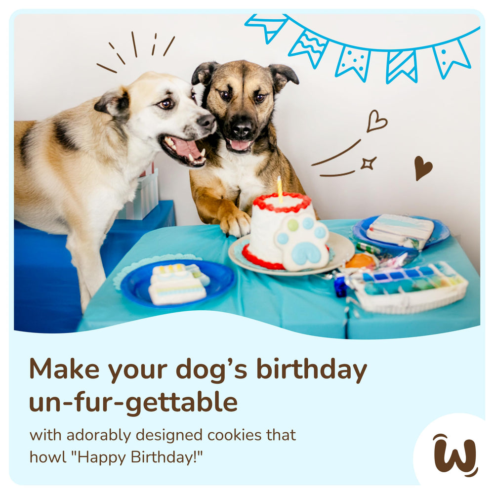 Galletas decoradas para perros con manzana canela y yogur.