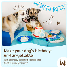 Galletas decoradas para perros con manzana canela y yogur.