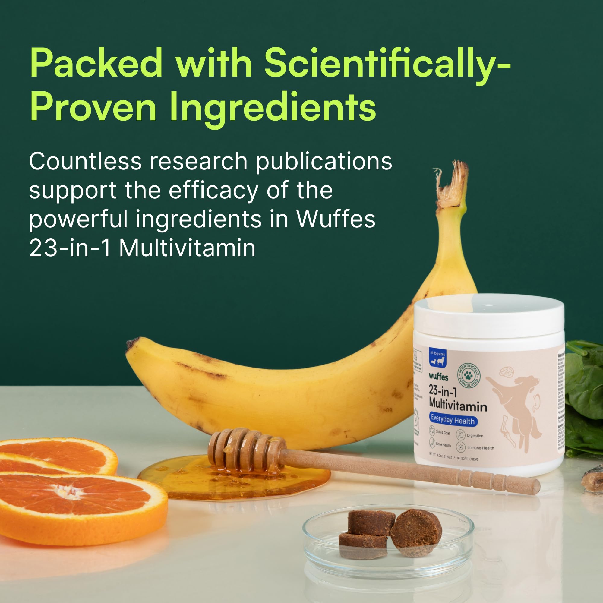 Aceite de salmón Alaska en la fórmula Wuffes 23-en-1 Omega-3