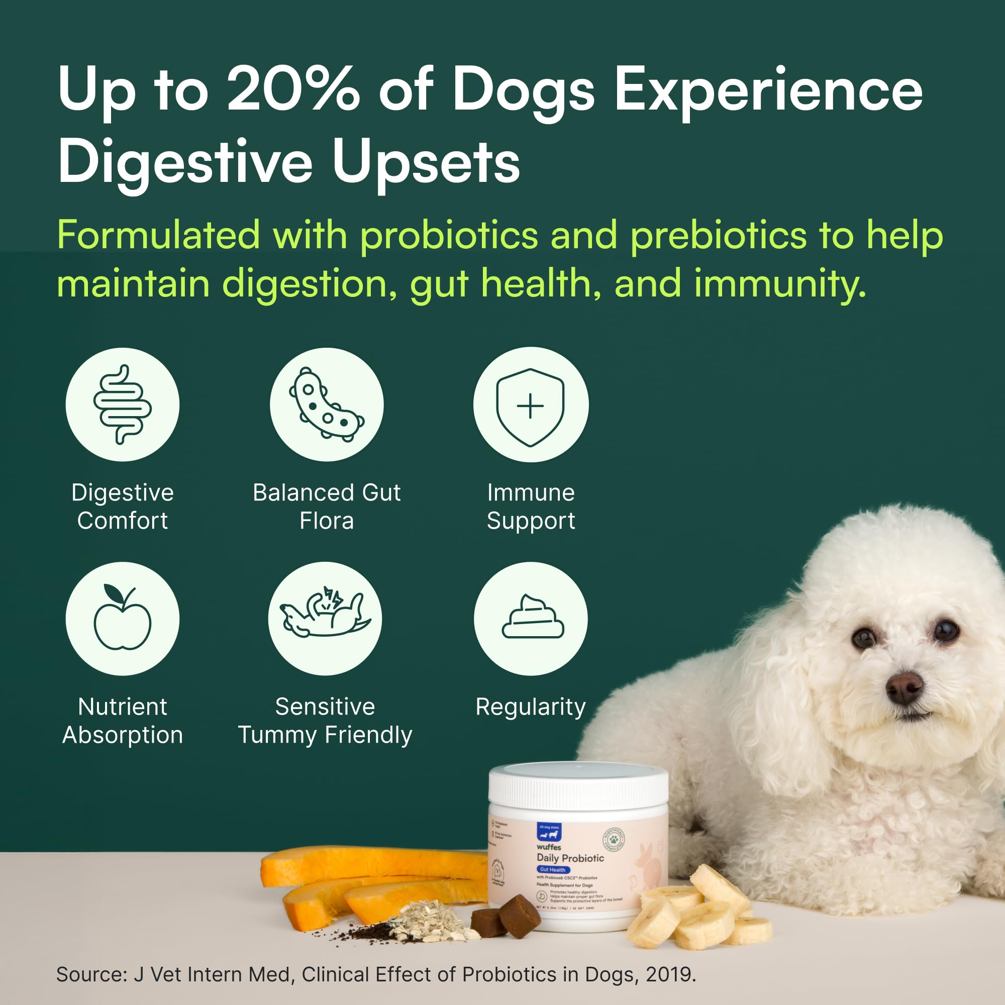 Wuffes Daily Probiotic apoyo potencial al sistema inmune gracias a un intestino equilibrado