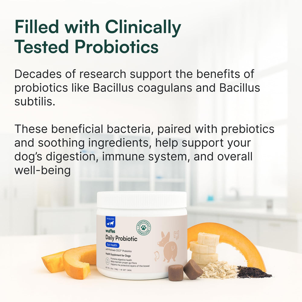 Wuffes Daily Probiotic calabaza en polvo para digestión suave