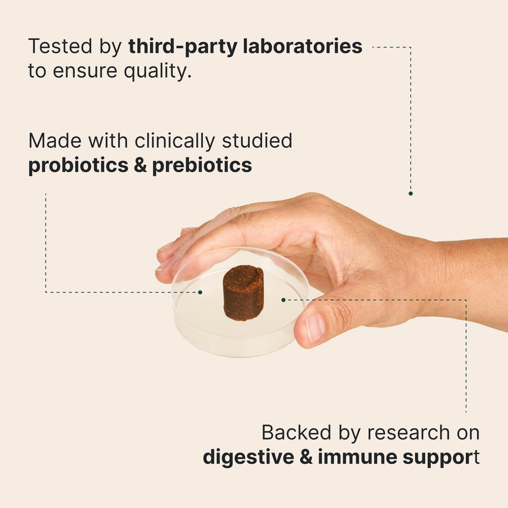 Wuffes Daily Probiotic masticables con malvavisco para facilidad de administración